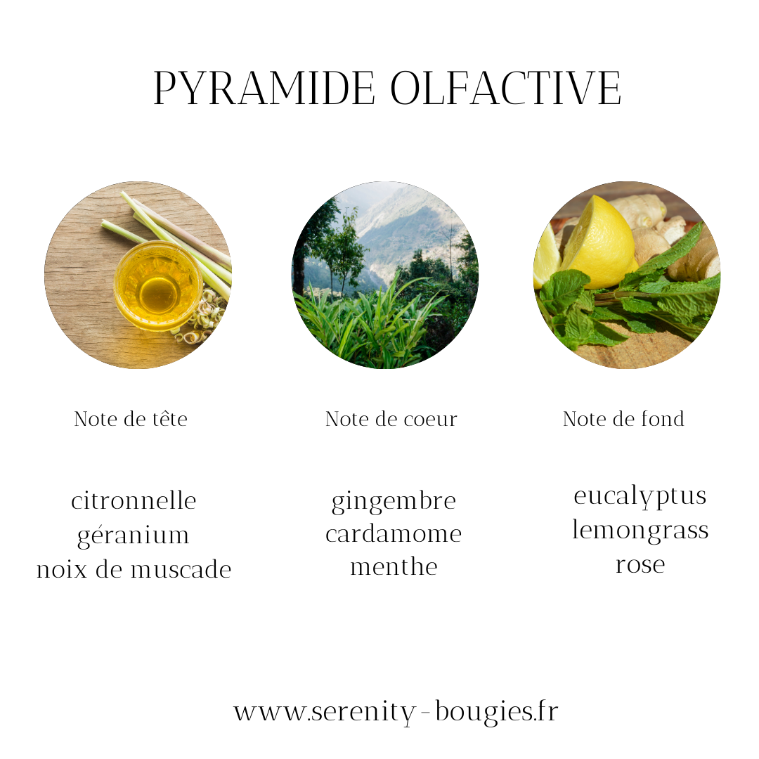 pyramide olfactive citronnelle